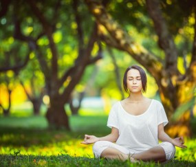 世界杯投注分析-奥地利新老交替加速，朗尼克用人策略成焦点